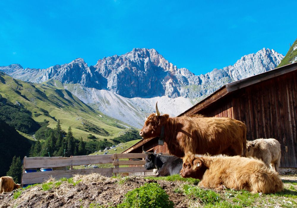 Sommerurlaub Tirol, Wanderurlaub Tirol.jpg